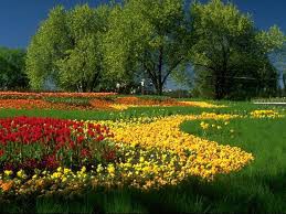 mooi landschap met bloemen